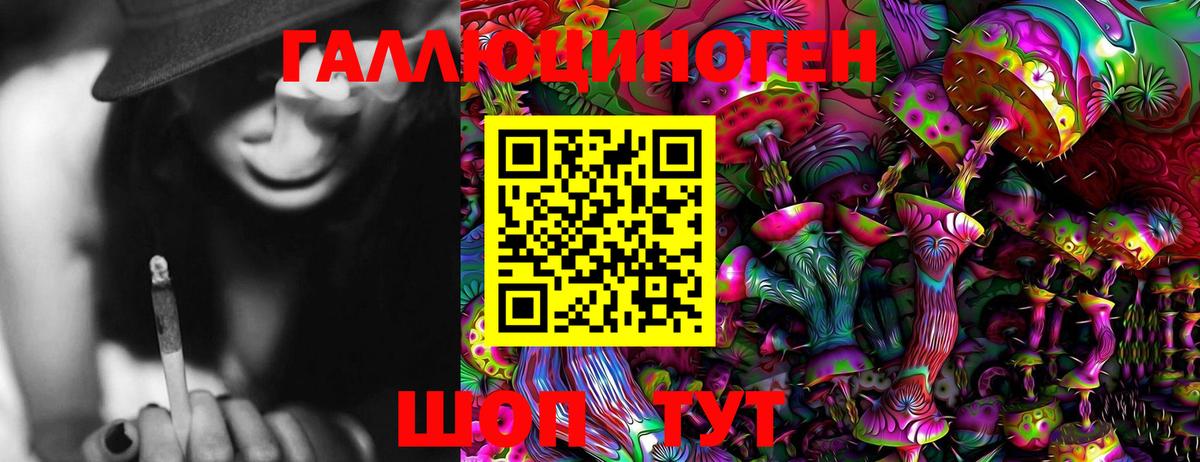 Псилоцибиновые грибы Psilocybe  Вход с VPN  Ялуторовск 